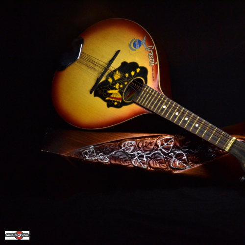Hvor mange strenge har en mandolin?