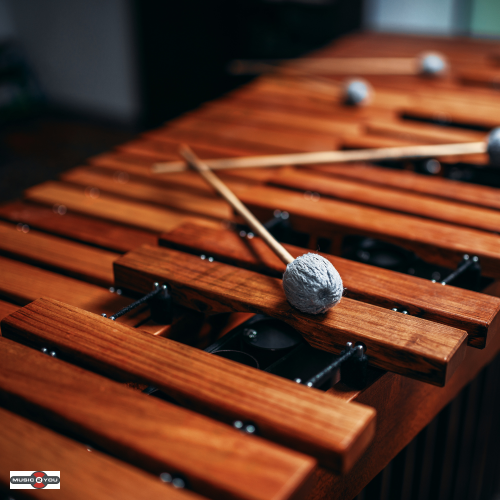 Hvad er percussion instrumenter? ? En guide til slagt?jets magiske verden
