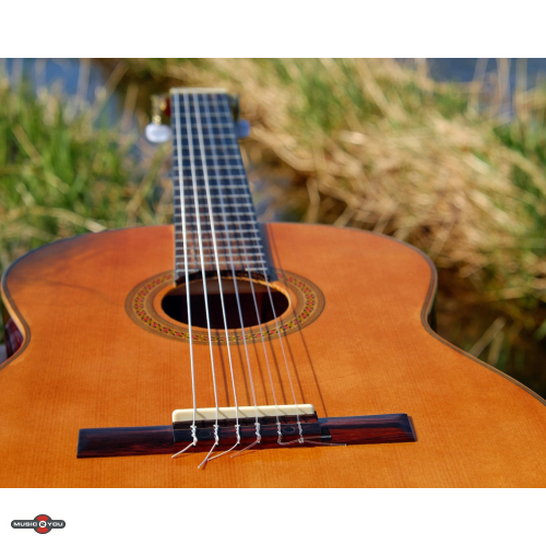 Begynder guitar ? V?lg den rigtige guitar som ny spiller