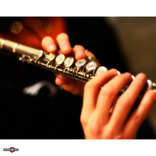 Bl?seinstrumenter ? En komplet guide til luft, lyd og musikalsk udtryk
