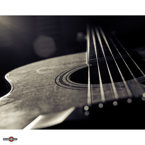 Hvilken guitar skal jeg v?lge som begynder?