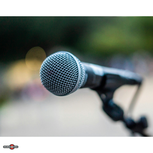 Hvilken mikrofon er bedst til sang (live)?