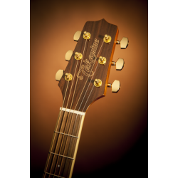 Takamine GN51CE-BSB Western guitar
