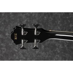 Ibanez AEB8E-BK Akustisk bas med pickup