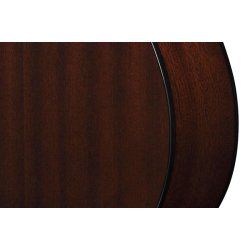 Ibanez AEGB24FE-MHS B�ndl�s Akustisk bas med pickup