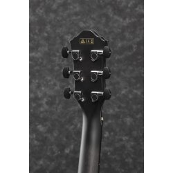 Ibanez AEWC400-TKS Western guitar med pick-up