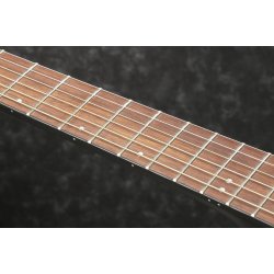 Ibanez AEWC400-TKS Western guitar med pick-up