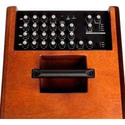 Acus Simon 8 Akustisk guitar forst�rker - Wood