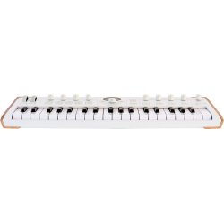 Arturia Astrolab 37 Keyboard