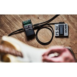 Boss RE-2 Space Echo