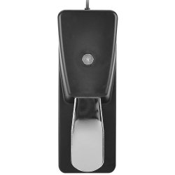 Boston GFS-25 Sustain Pedal