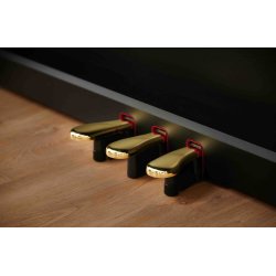 Casio AP-550 Celviano - El Klaver - Sort