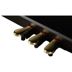 Casio AP-750 Smart Hybrid Celviano - El Klaver - Sort