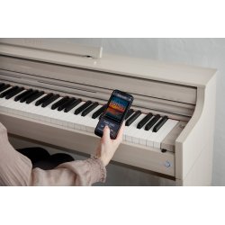 Casio AP-S450 Smart Hybrid Celviano - El Klaver - Gr�