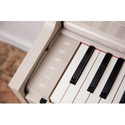 Casio AP-S450 Smart Hybrid Celviano - El Klaver - Gr�