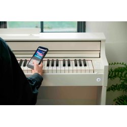 Casio AP-S450 Smart Hybrid Celviano - El Klaver - Hvid