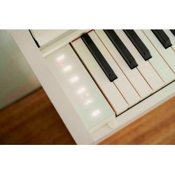 Casio AP-S450 Smart Hybrid Celviano - El Klaver - Hvid