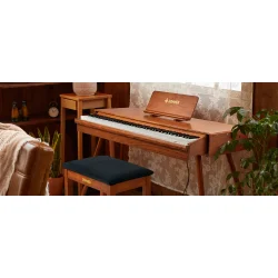 Donner DDP-80PRO El Klaver