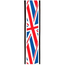 D'Addario 50PLA11 Guitar rem m. lock