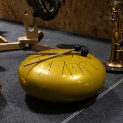 Dimavery TD-12 Stl Tongue tromme - C Major - Guld