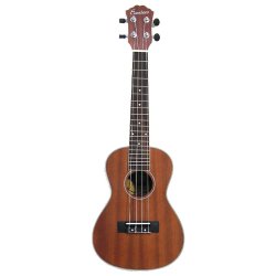 Everdeen UKCB Concert Ukulele pakke