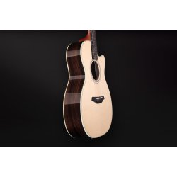 Furch Green Plus Dc-SR I - Western guitar med L.R.Baggs EAS/VTC Pickup og Hiscox hardcase