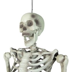 Halloween Skelet Figur til ophng med formbar dele - 150 cm
