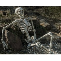 Halloween Skelet Figur til ophng med formbar dele - 150 cm