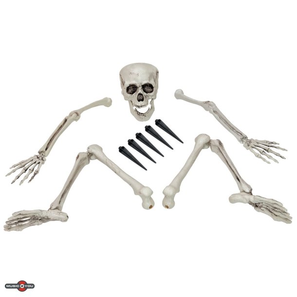 Halloween Skeletst i lsedele