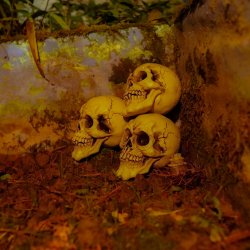 Halloween Kranie - 3 stk. pakke