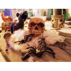 Halloween Edderkoppespind / Spindelvv - 50g