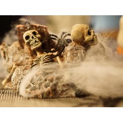 Halloween Edderkoppespind / Spindelvv - 50g
