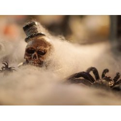 Halloween Edderkoppespind / Spindelvv - 50g