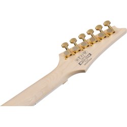 Ibanez RGR420FMSP-TGF