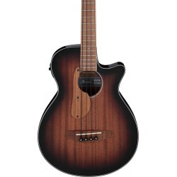 Ibanez AEGB24E-MHS Akustisk bas med pickup