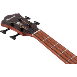 Ibanez AEGB24E-MHS Akustisk bas med pickup