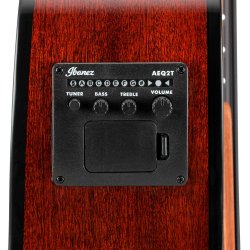 Ibanez AEGB24E-MHS Akustisk bas med pickup