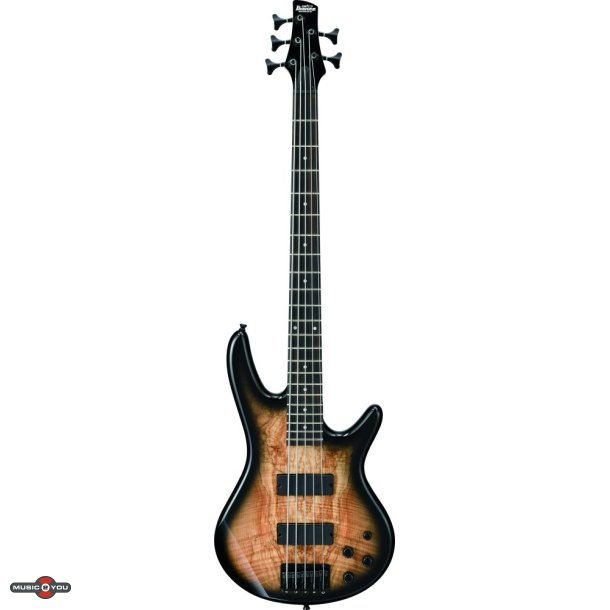 Ibanez GSR205SM-NGT El-bas - Natural Gray Burst