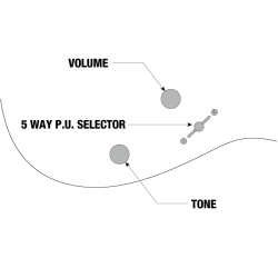 Ibanez RG421PB-CHF El guitar - Caribbean Shoreline Flat