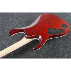 Ibanez RGA42FM-TGF El guitar - Transparent Gray Flat