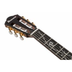 Ibanez TOD100N-NT Tim Henson Klassisk Thin guitar med pickup og taske - Natural