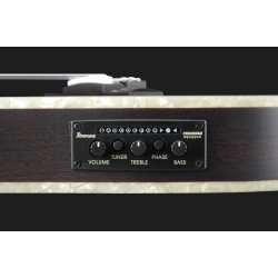 Ibanez TOD10N-TKF Tim Henson Klassisk Thin guitar med pickup - Transparent Black Flat