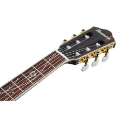 Ibanez TOD10NL-TKF Tim Henson Klassisk Thin guitar med pickup - Transparent Black Flat - Venstreh�nds