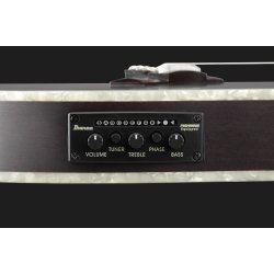 Ibanez TOD10NL-TKF Tim Henson Klassisk Thin guitar med pickup - Transparent Black Flat - Venstreh�nds