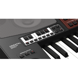 Korg PA700 Oriental Keyboard