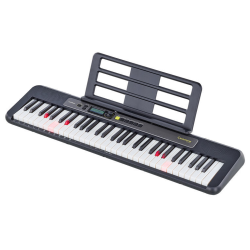 Casio LK-S250 Keyboard
