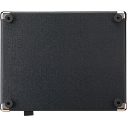 Laney DBF100 DIGBETH FOUNDRY - 12" Bas Combo