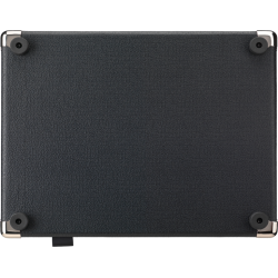 Laney DBF50 DIGBETH FOUNDRY - 10" Bas Combo