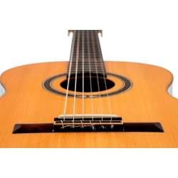 Ortega R159 Klassisk guitar 4/4 inkl. Gigbag - Natur