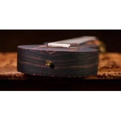 Ortega RGL5EB Guitarlele